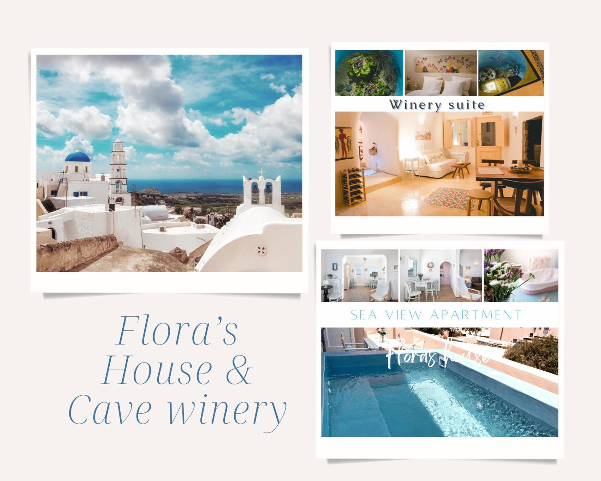 Flora'S House & Cave Winery Villa Pyrgos Kallistis ภายนอก รูปภาพ